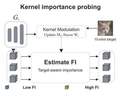 AdAM's target-aware importance probing, followed by rank-constrained modulation for high-FI kernels and fine-tuning for low-FI kernels; the adapted generator produces the paper's target-domain samples