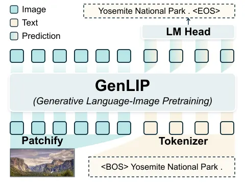 Animated GenLIP model architecture from Figure 2: the Yosemite image and caption enter through Patchify and Tokenizer, pass upward through GenLIP, and text-position predictions feed the LM Head